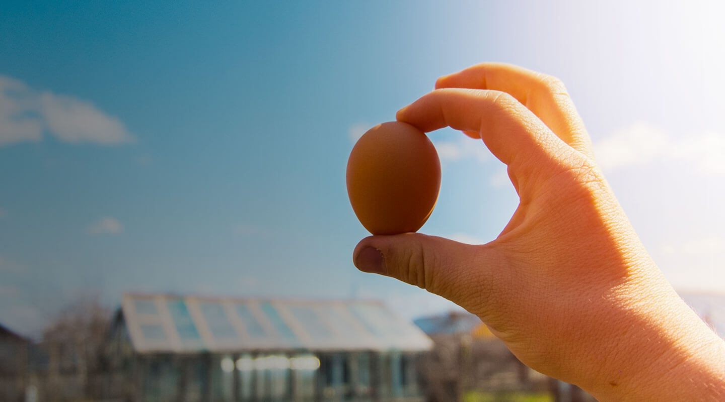 Foster Farms photo